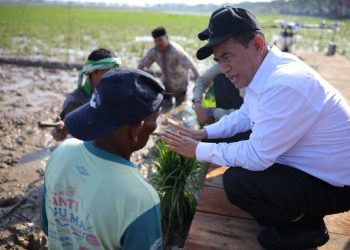 Kementerian Pertanian Aktif Dampingi Petani Pascabencana di Sumatra