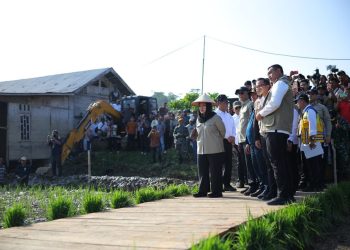 Pemerintah Pastikan Stok Beras Aceh Aman untuk Enam Bulan