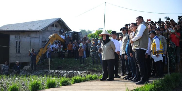 Pemerintah Pastikan Stok Beras Aceh Aman untuk Enam Bulan