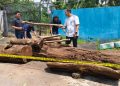 Lima Tersangka Pembalakan Liar di TNGC Ditangkap, Kayu Sonokeling Disita
