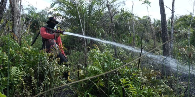 BPBD Palangka Raya Atasi Tiga Insiden Karhutla dalam Sehari