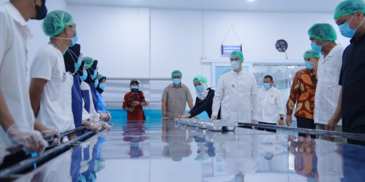 Dapur SPPG 03 Samalewa Mulai Beroperasi, Targetkan 3.000 Penerima Manfaat