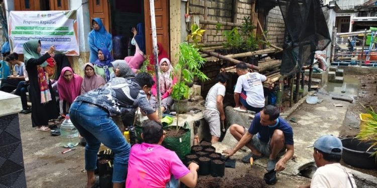 Penghijauan Pesisir di Demak Tingkatkan Ketahanan Pangan Nelayan