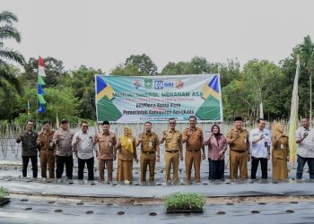 Bengkalis Tingkatkan Ketahanan Pangan dengan Penanaman Cabai Lokal