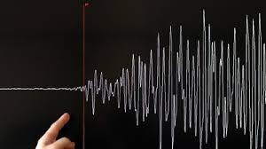 Gempa Magnitudo 3.3 Mengguncang Daruba, Maluku Utara