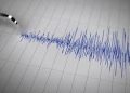 Gempa Magnitudo 3.7 Mengguncang Poso, Sulawesi Tengah