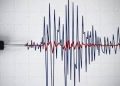 Gempa Magnitudo 3,6 Guncang Wilayah Larantuka, NTT