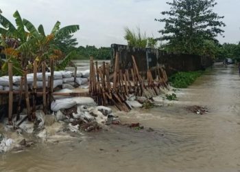 Tanggul Jebol di Sungai Citarum, Ratusan Keluarga di Bekasi Terendam Banjir