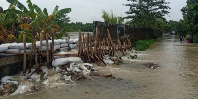 Tanggul Jebol di Sungai Citarum, Ratusan Keluarga di Bekasi Terendam Banjir