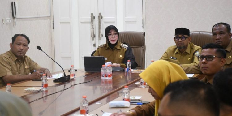 Banda Aceh Perkuat Kerja Sama Sister City dengan Higashimatsushima