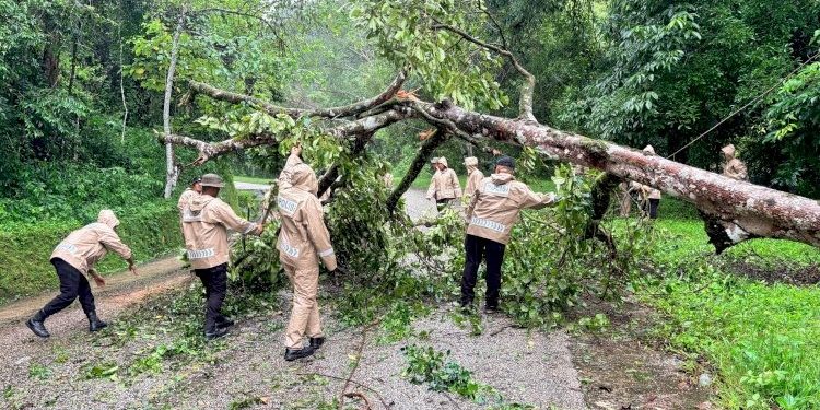 Brimob Polda NTT Tangani Pohon Tumbang di Jalur Tanadaro dengan Cepat