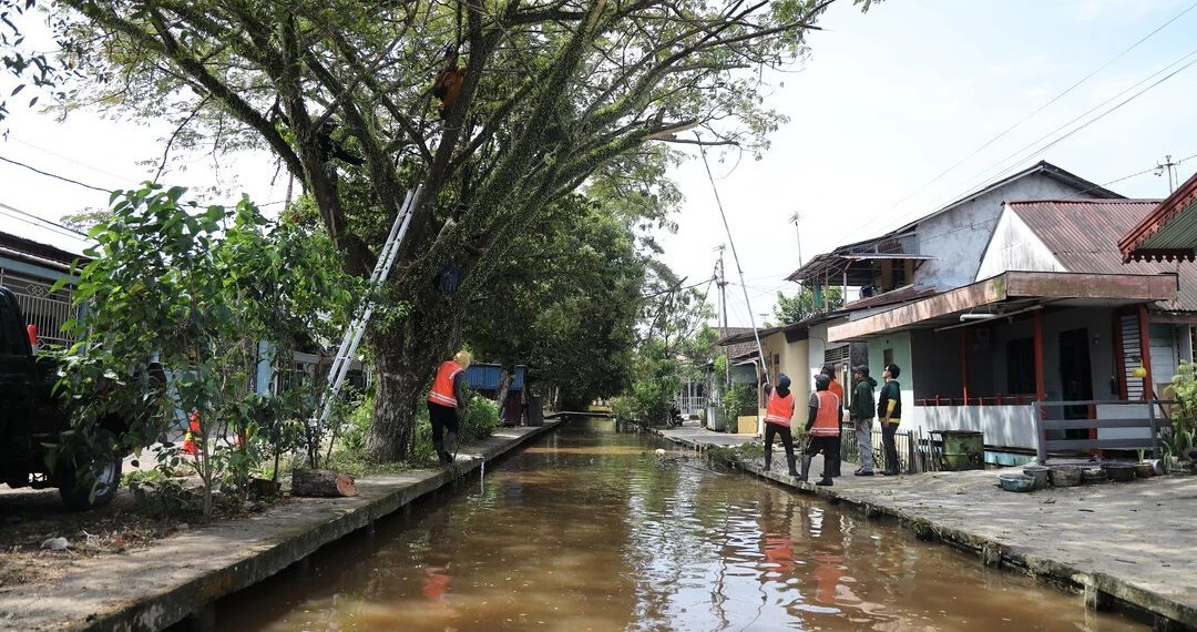 Dinas PUPR Pontianak Aktif Tanggapi Keluhan Warga Terkait Pemeliharaan Pohon