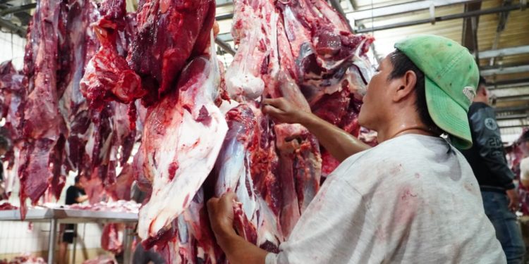 Pemerintah Tetapkan Kuota Impor Daging Ruminansia untuk Tahun 2026