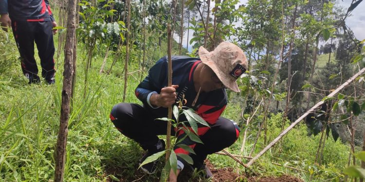Desa Campurejo Siapkan Jalur Pendakian Baru Gunung Prau dengan Reboisasi