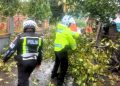Satlantas Polres Flores Timur Tanggap Cepat Evakuasi Pohon Tumbang di Larantuka
