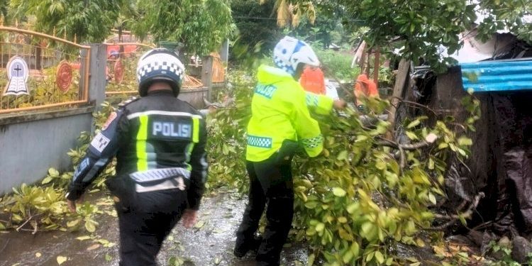 Satlantas Polres Flores Timur Tanggap Cepat Evakuasi Pohon Tumbang di Larantuka