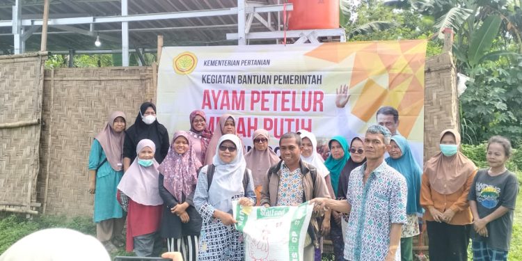 Panen Telur Perdana di Sardonoharjo, Sleman, Wujud Program Ketahanan Pangan Nasional