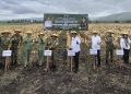 Panen Raya Jagung di Gorontalo Dukung Ketahanan Pangan Daerah