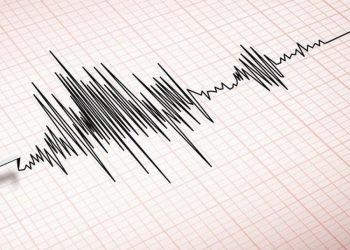 Gempa Magnitudo 3.1 Mengguncang Ende, Nusa Tenggara Timur
