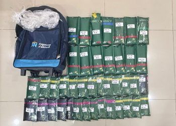 Polda Metro Jaya Ungkap Modus Pengiriman Ganja Lewat Paket Online