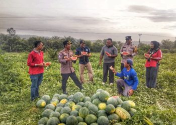 Kapolsek Tualang Dorong Penguatan Pertanian untuk Ketahanan Pangan