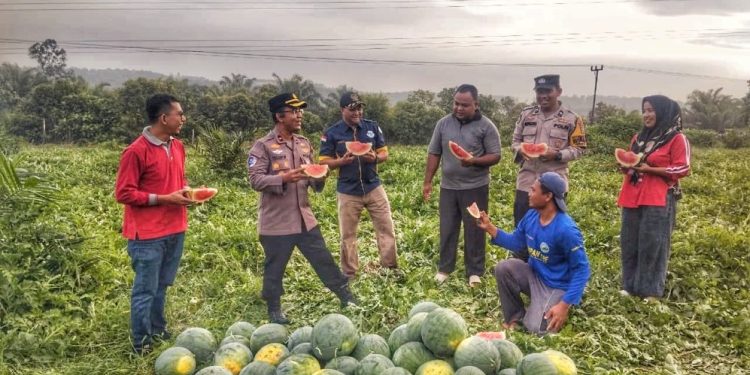 Kapolsek Tualang Dorong Penguatan Pertanian untuk Ketahanan Pangan
