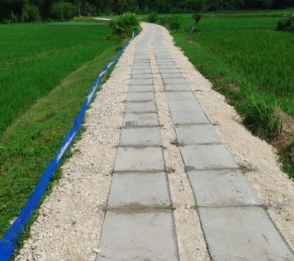 Pemkab Bojonegoro Alokasikan Rp31,1 Miliar untuk 163 Jalan Usaha Tani