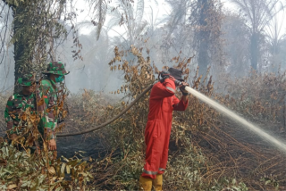 BMKG: Riau Termasuk Daerah Rawan Kebakaran Lahan Berdasarkan Data Hotspot