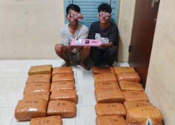 Polres Aceh Tenggara Gagalkan Penyelundupan 50,7 Kg Ganja di Tengah Pemulihan Banjir