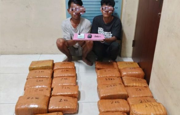 Polres Aceh Tenggara Gagalkan Penyelundupan 50,7 Kg Ganja di Tengah Pemulihan Banjir