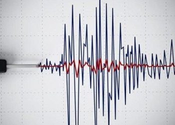 Gempa Magnitudo 3.8 Guncang Halmahera Barat, Maluku Utara
