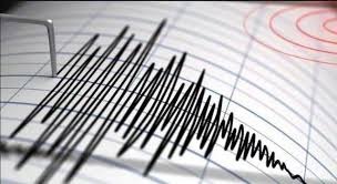Gempa Magnitudo 3.7 Guncang Melonguane, Sulawesi Tengah