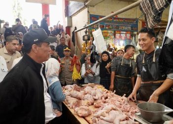 Mentan Tegaskan Tidak Ada Toleransi Harga di Atas HET di Pasar Tagog