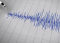 Gempa Magnitudo 3,5 Mengguncang Keerom, Papua