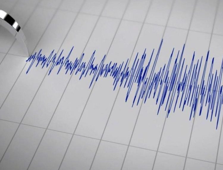 Gempa Magnitudo 3,5 Mengguncang Keerom, Papua