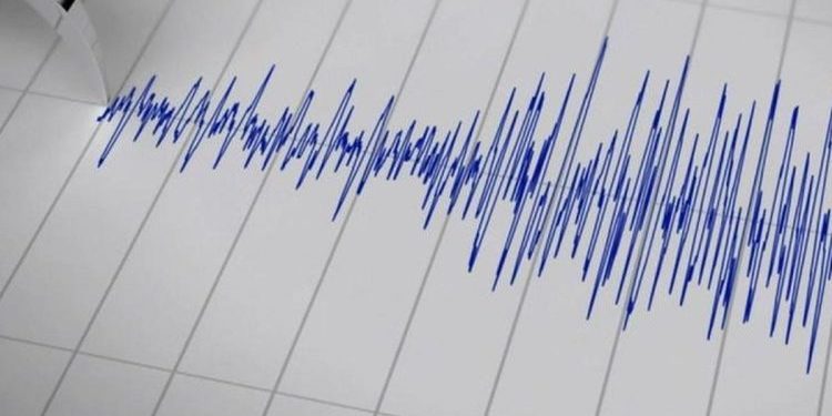 Gempa Magnitudo 3.5 Guncang Wilayah Keerom, Papua