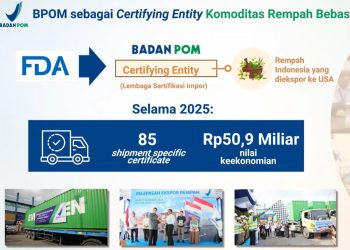 Badan POM Tingkatkan Pengawasan dan Akses Obat Sepanjang 2025