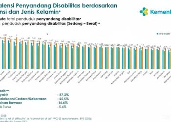Puskesmas Didorong Lebih Inklusif untuk Penyandang Disabilitas