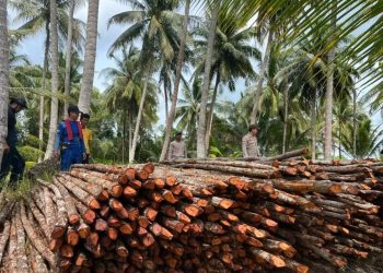 Enam Tersangka Pembalakan Liar Mangrove di Lingga Utara Ditangkap