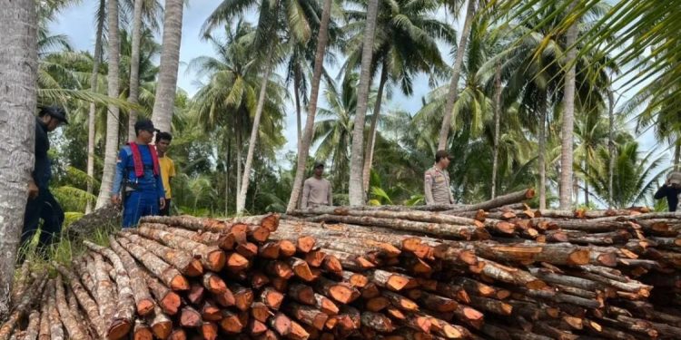 Enam Tersangka Pembalakan Liar Mangrove di Lingga Utara Ditangkap