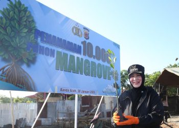 Wali Kota Banda Aceh dan Kapolda Aceh Tanam Mangrove di Alue Naga