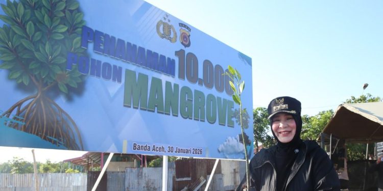 Wali Kota Banda Aceh dan Kapolda Aceh Tanam Mangrove di Alue Naga