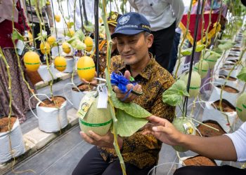 UGM dan Pemkab Kulon Progo Bersinergi Kembangkan Pertanian Cerdas Melalui FASTAN