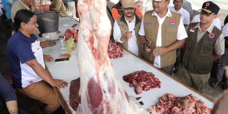 BNPB Tegaskan Pemulihan Pascabencana di Gayo Lues Meningkat