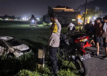 Mobil Honda Brio Masuk Sawah di Imogiri Bantul, Dua Penumpang Selamat Alami Luka Ringan