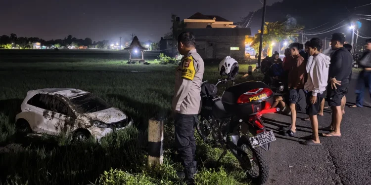 Mobil Honda Brio Masuk Sawah di Imogiri Bantul, Dua Penumpang Selamat Alami Luka Ringan