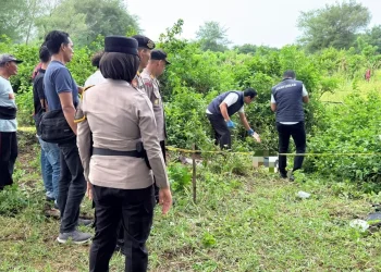 Penemuan Mayat Gegerkan Kawasan Gumuk Pasir Parangtritis, Korban Berusia Sekitar 60 Tahun