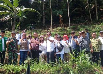 Ratusan Peserta Tanam Kopi di Wonosobo, JATUBU Dorong Reboisasi Berbasis Edukasi Lingkungan