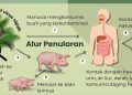 Kemenkes Terbitkan Surat Edaran untuk Antisipasi Virus Nipah