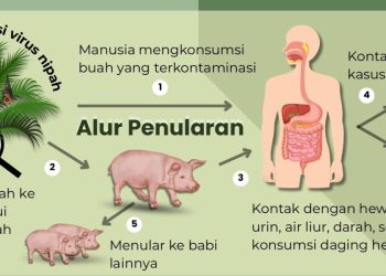 Kemenkes Terbitkan Surat Edaran untuk Antisipasi Virus Nipah